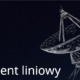 Element liniowy