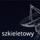 Model szkieletowy